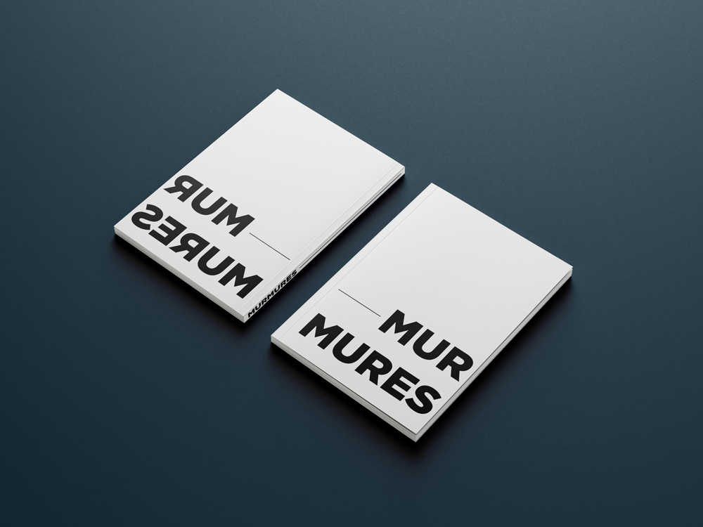 Mise en situation du livre photographique "Murmures" du street artist Ecloz regroupant une partie de ces oeuvres en friches réalisé par plusieurs photographes