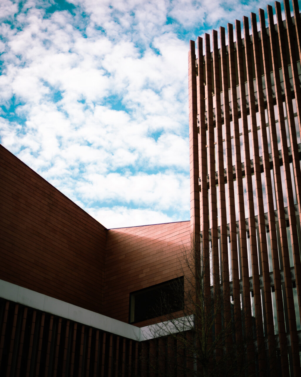 Instagram post from cookizz. This post is in position 6.