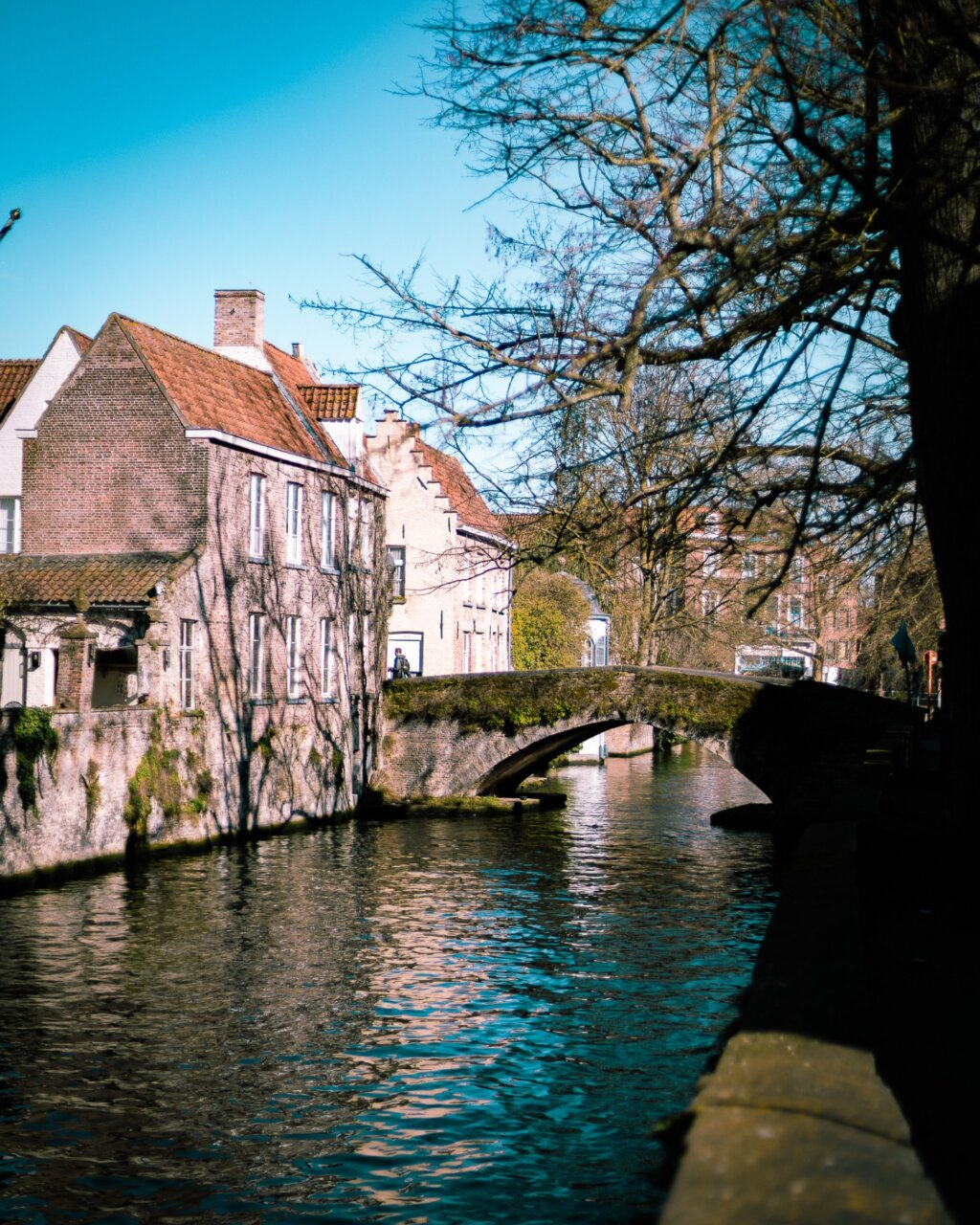 Instagram post from cookizz. This post is in position 4.