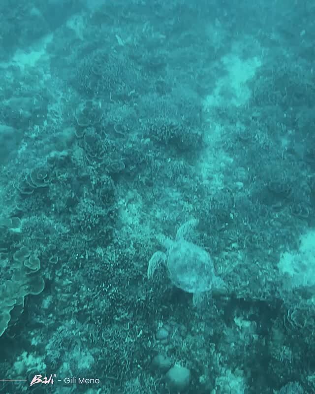 Instagram post from cookizz. This post is in position 1.