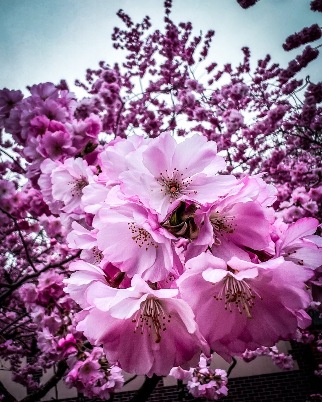 Instagram post from cookizz. This post is in position 10.