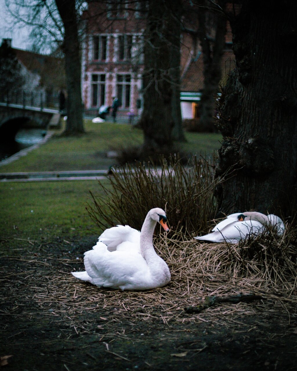 Instagram post from cookizz. This post is in position 5.