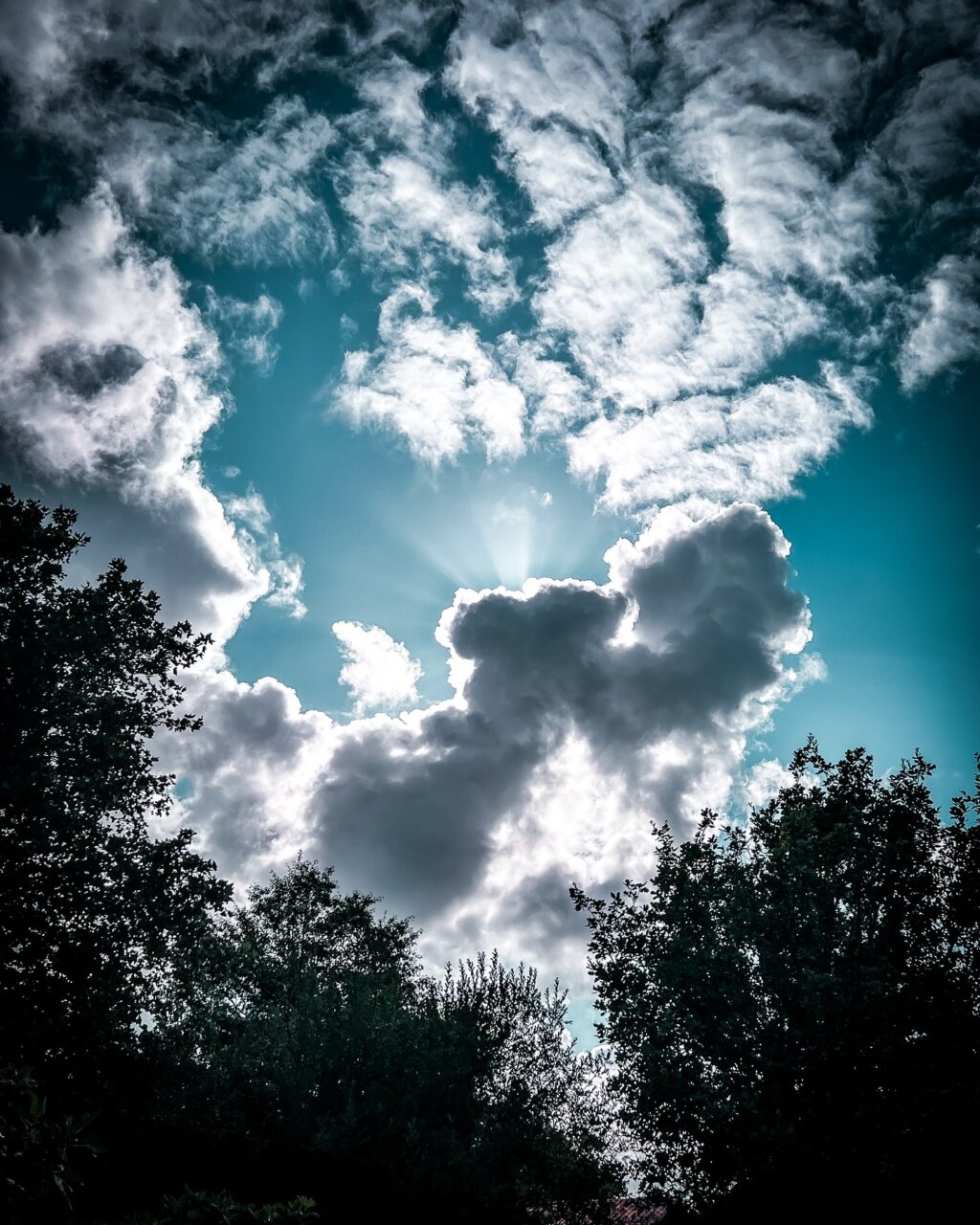 Instagram post from cookizz. This post is in position 2.
