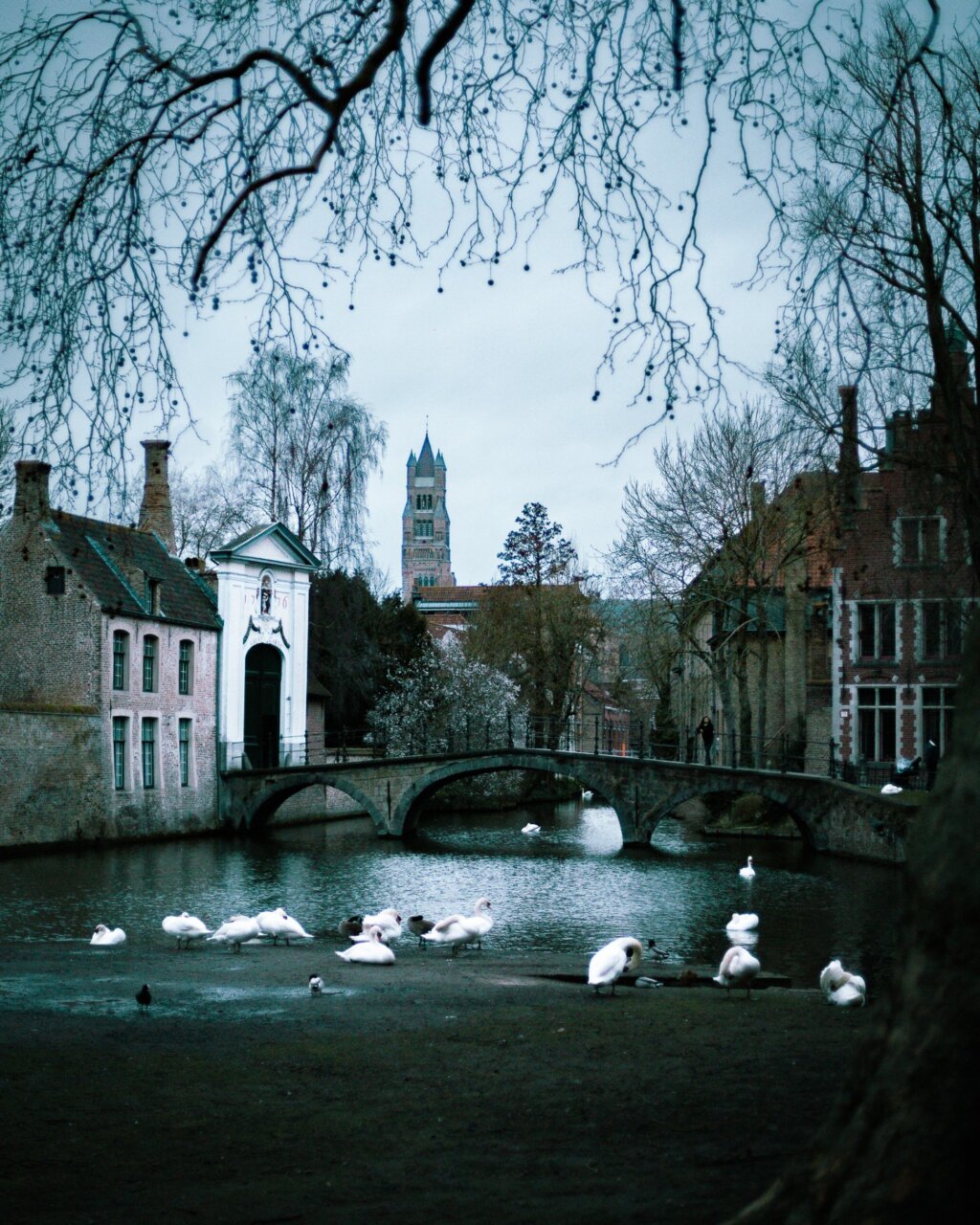 Instagram post from cookizz. This post is in position 5.