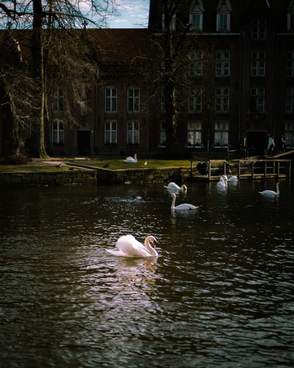 Instagram post from cookizz. This post is in position 7.