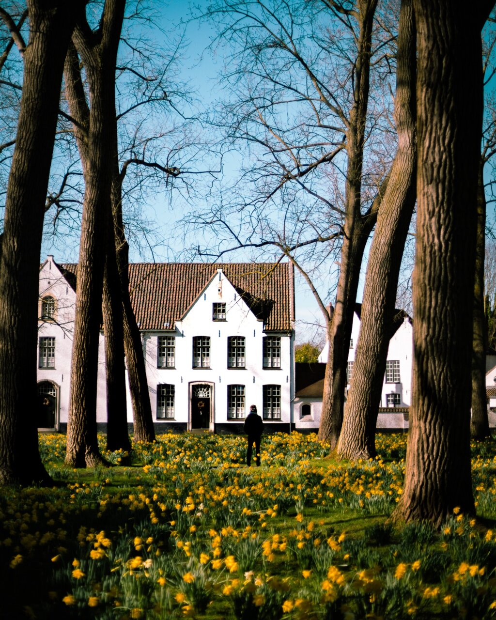 Instagram post from cookizz. This post is in position 4.